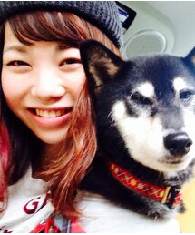 愛犬、草太。 | 愛犬のこの顔、不機嫌そうです。(その他)