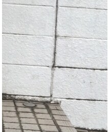 UNIQLO | その他パンツ