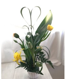 🌷 | その他