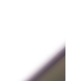 FOREVER 21 | Tシャツ/カットソー