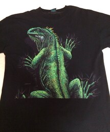 HABITAT | イグアナT(Tシャツ/カットソー)
