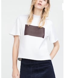 ZARA | クロップド丈Tシャツ(Tシャツ/カットソー)