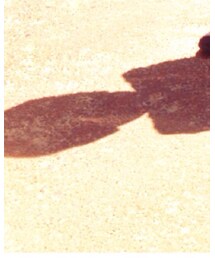 アリを追いかけて | その他