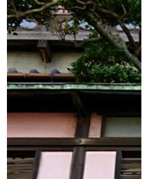 NEW BALANCE | ブルゾン