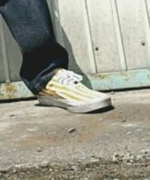 VANS | スニーカー