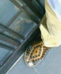 Chubasco | サンダル