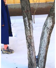 BALENCIAGA | その他シューズ