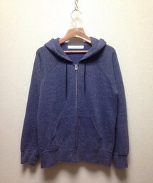 Inpaichthys kerri | ネップパーカー(パーカー)