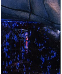 Disney | その他