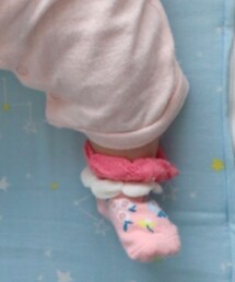 BRANSHES | ソックス/靴下