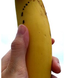 Hollister | コンタクトレンズ・カラコン