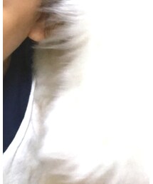 もののけ姫 | 帽子