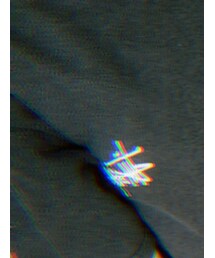 STUSSY | Tシャツ/カットソー