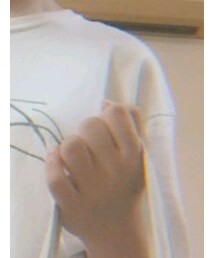 STUSSY | Tシャツ/カットソー