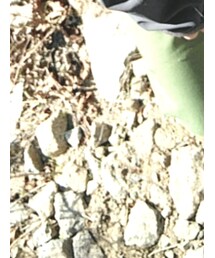 THE NORTH FACE | パンツ