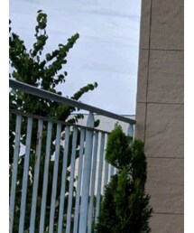 ZARA | デニムパンツ