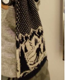 Abercrombie&Fitch | マフラー