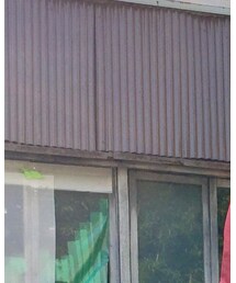 古着 | 蝶ネクタイ