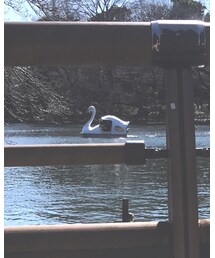 🚣‍♂️ | その他