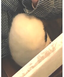 🐼 | ショルダーバッグ