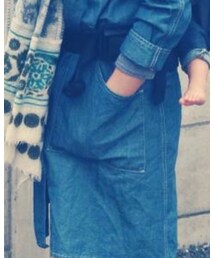 Violet Buffalo Wallows | ステンカラーコート