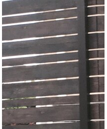 UNIQLO | シャツ/ブラウス