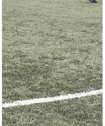 UNIQLO | その他パンツ