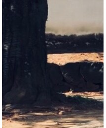 THE NORTH FACE PURPLE LABEL | モッズコート