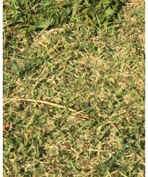 西松屋 | ブーツ