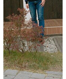 Dr. Martens | シューズ