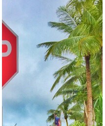 グアム | その他