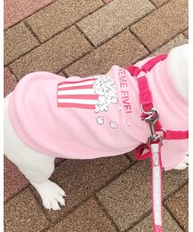 Amazon | スウェット