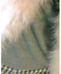 Grail | ニット/セーター