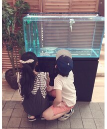 おとうと | その他