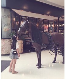 韓国子ども服 | シャツ/ブラウス