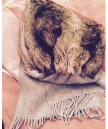 present | マフラー