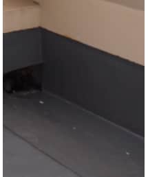 UNUSED | デニムパンツ