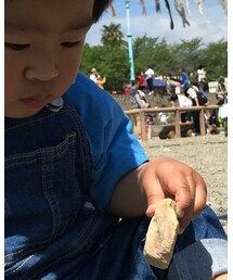 patagonia | Tシャツ/カットソー