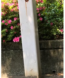 patagonia | ハット