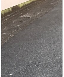 patagonia | ハット