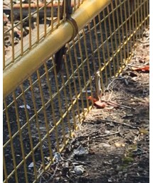 UNIQLO | レギンス/スパッツ