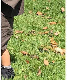 韓国子供服 | シャツ/ブラウス