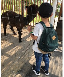 アルパカと💓 | その他