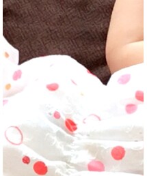 Birthday | ワンピース