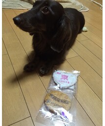 スズメくん | その他