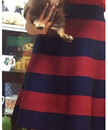 green label relaxing | スカート