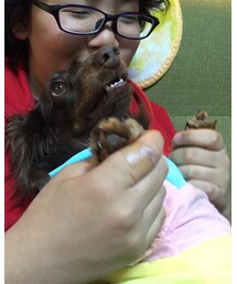 前足が弱点の愛犬😎 | その他