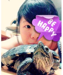 ふふ、決まったな俺😎✨🐢 | 初登場！長男サクラ(亀)もう三十路🐢🐢🐢(その他)