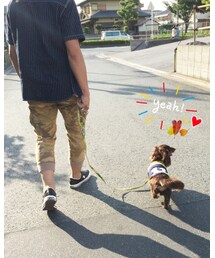 愛犬スズメ不吉な予感😱 | 一週間☔️ってマジっすか😹❗️❗️(その他)