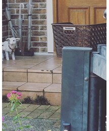 EMPORIO ARMANI | アナログ腕時計